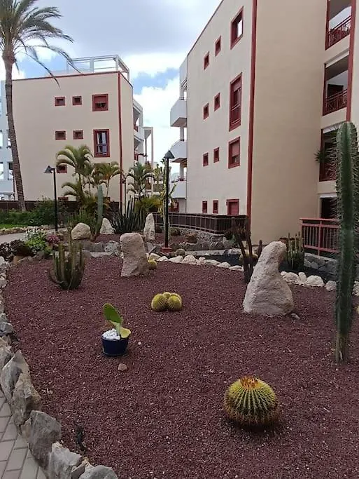 Apartamento Los Balandros 303 Arona  Apartment